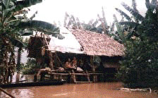 Cambodian rural life