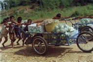 Children involved in labor as transporters