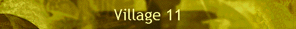 Village 11