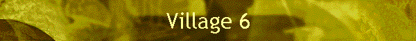 Village 6