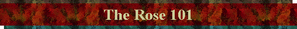 The Rose 101