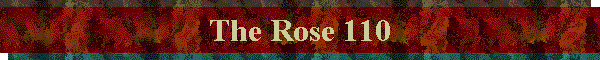 The Rose 110