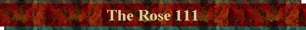 The Rose 111