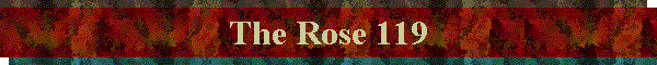 The Rose 119