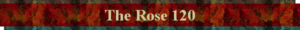 The Rose 120