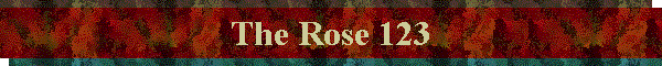 The Rose 123