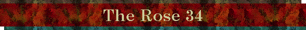 The Rose 34