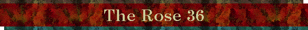 The Rose 36