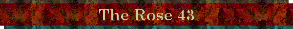 The Rose 43