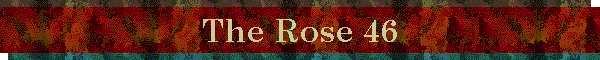 The Rose 46