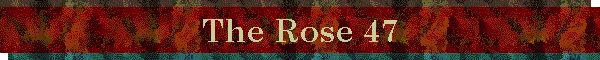 The Rose 47