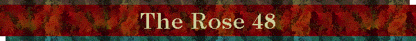 The Rose 48