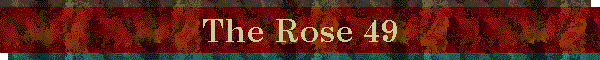 The Rose 49