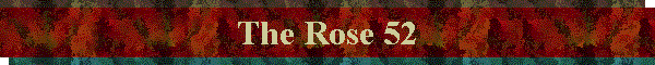The Rose 52