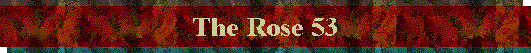 The Rose 53