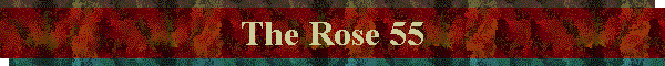 The Rose 55