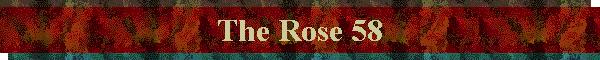 The Rose 58