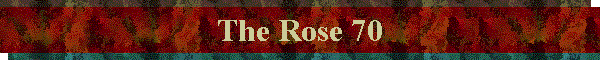 The Rose 70