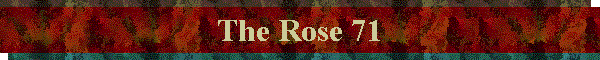The Rose 71