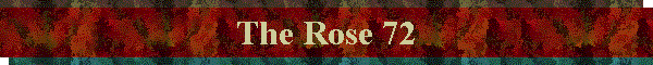 The Rose 72