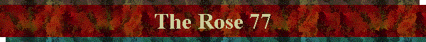 The Rose 77