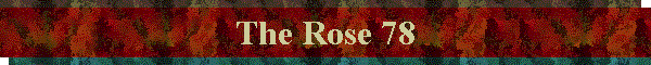 The Rose 78
