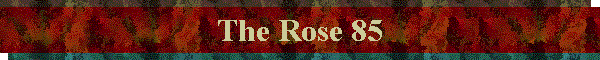 The Rose 85