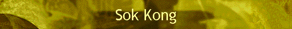 Sok Kong