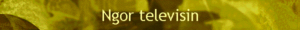 Ngor televisin