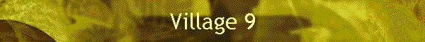 Village 9